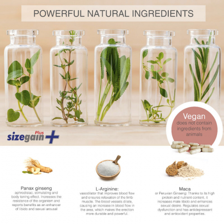 Supliment 500 Cosmetics SizeGain Plus Alimentar pentru Cresterea Dimensiunii Penisului si Potentei Sexuale 30 buc [2]