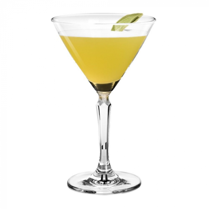 OCEAN CONNEXION Set 6 pahare martini, 215ml, D10xh16,6cm, sticla [2]