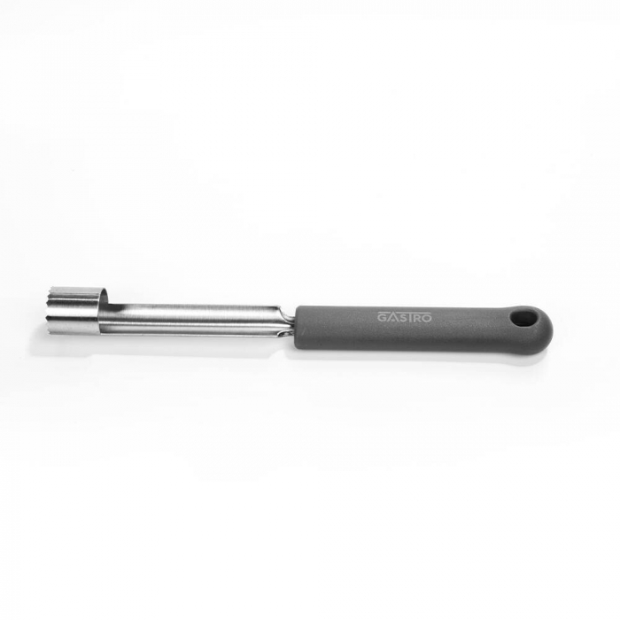 PIRGE GASTRO Cutit scos cotor mere 10cm, inox, maner gri [1]