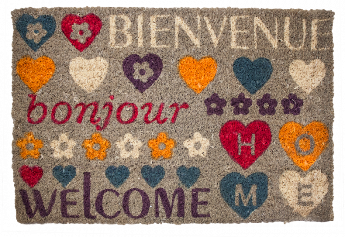 RAKI Covoras intrare 60x40cm [1]