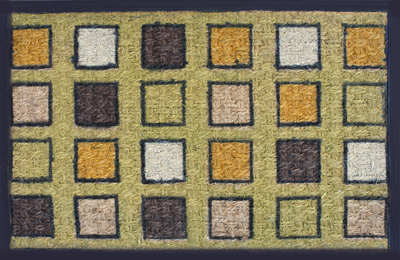 RAKI Covoras intrare din cauciuc si fibra de cocos 60x40cm [1]