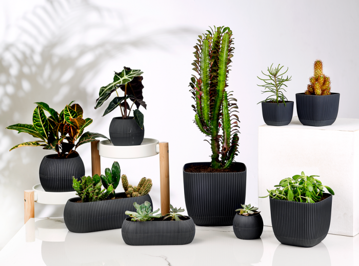 RAKI Ghiveci pentru cactus 8,8xh6,8cm 150ml culoare antracit [2]