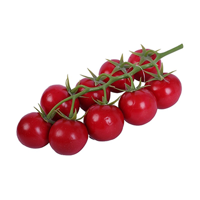 RAKI Rosii cherry decorative 20x10cm [1]