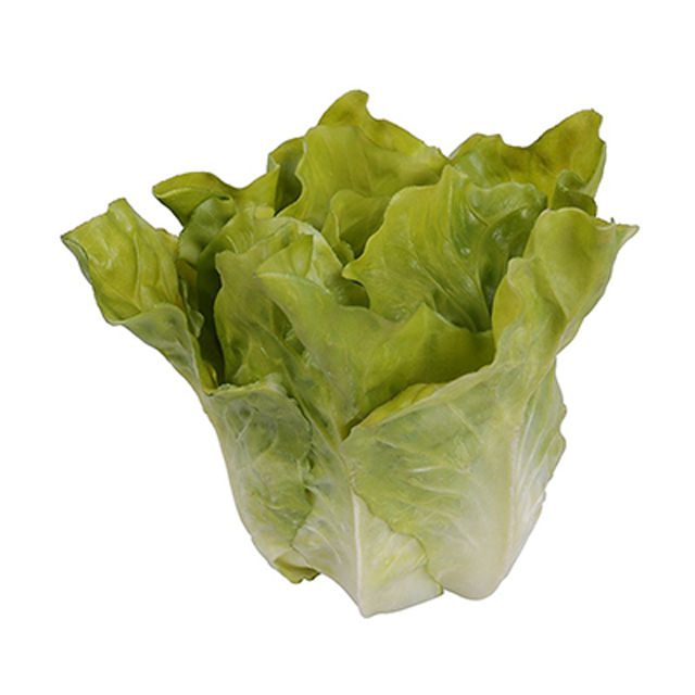 RAKI Salata verde decorativa 14x12xh14cm [1]