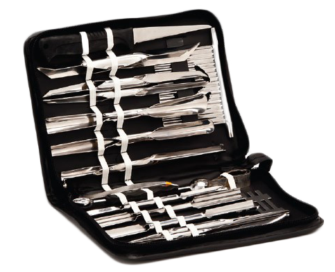 RAKI Set sculptura legume si fructe, 21 piese, cu geanta [1]