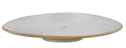 Arizona - CULINARO ARIZONA Farfurie Gourmet din portelan 28cm (F2638WY-11PG)
