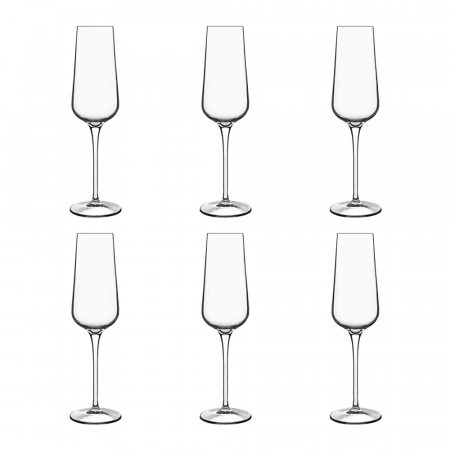 Articole sticlarie - LUIGI BORMIOLI INTENSO Set 6 pahare sampanie 240ml D7xH24cm