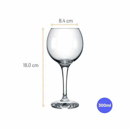 NADIR CELEBRA Set 12 pahare vin alb, 300ml, D8,4xh18cm, sticla [1]