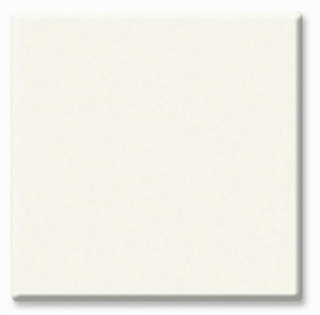 Mese - RAKI Blat de masa rotund 80cm Werzalit White grosime 19mm