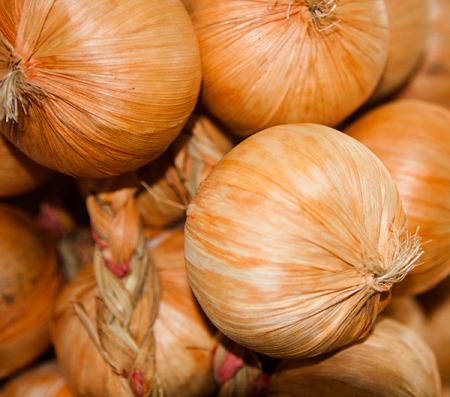 Produse - RAKI Ceapa decorativa pe sfoara