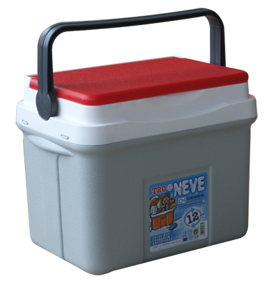 Produse - RAKI Lada frigorifica picnic 25l