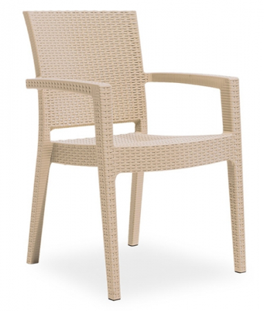 Scaune si fotolii - RAKI PARIS RATTAN Scaun cu brate 58x62xh88cm polipropilena/fibra sticla culoare cappuccino