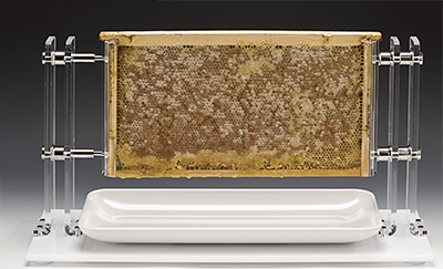 Display-uri si suporturi - RAKI Suport faguri de miere 67x24xh35cm, acrilic