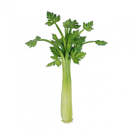 Produse - RAKI Telina decorativa, figurina 39x12cm