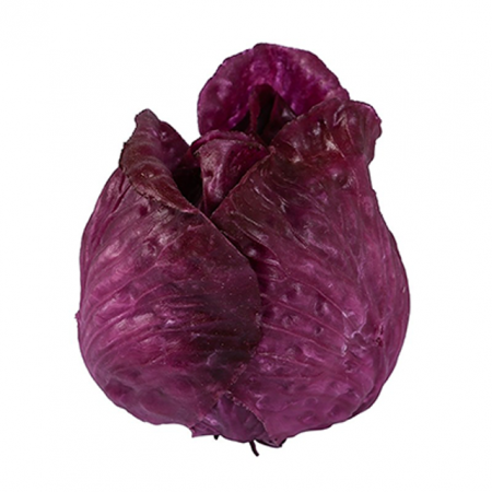 Produse - RAKI Varza rosie decorativa 12x12cm