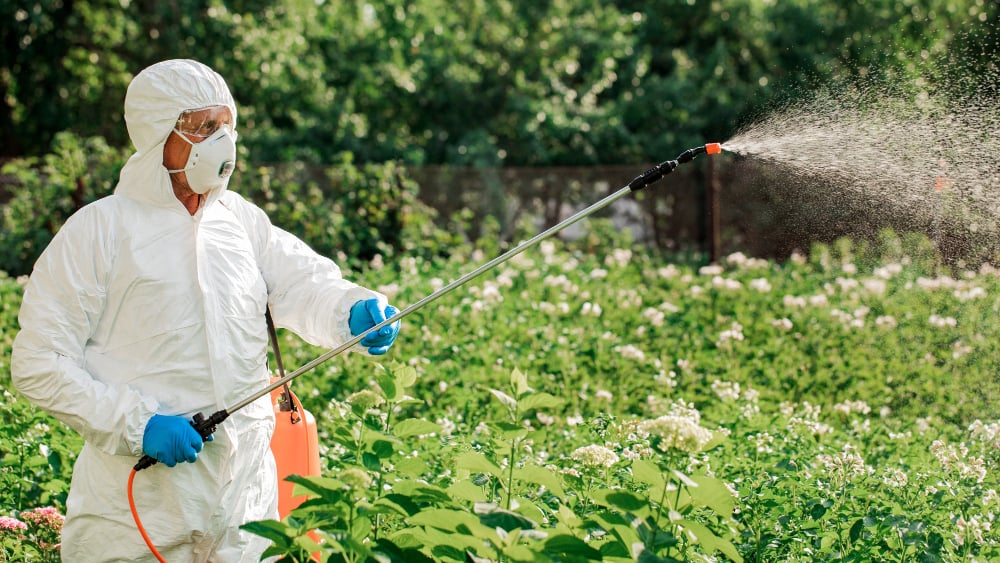 Fungicide în agricultură: cum alegi produsul potrivit și protejezi culturile de boli