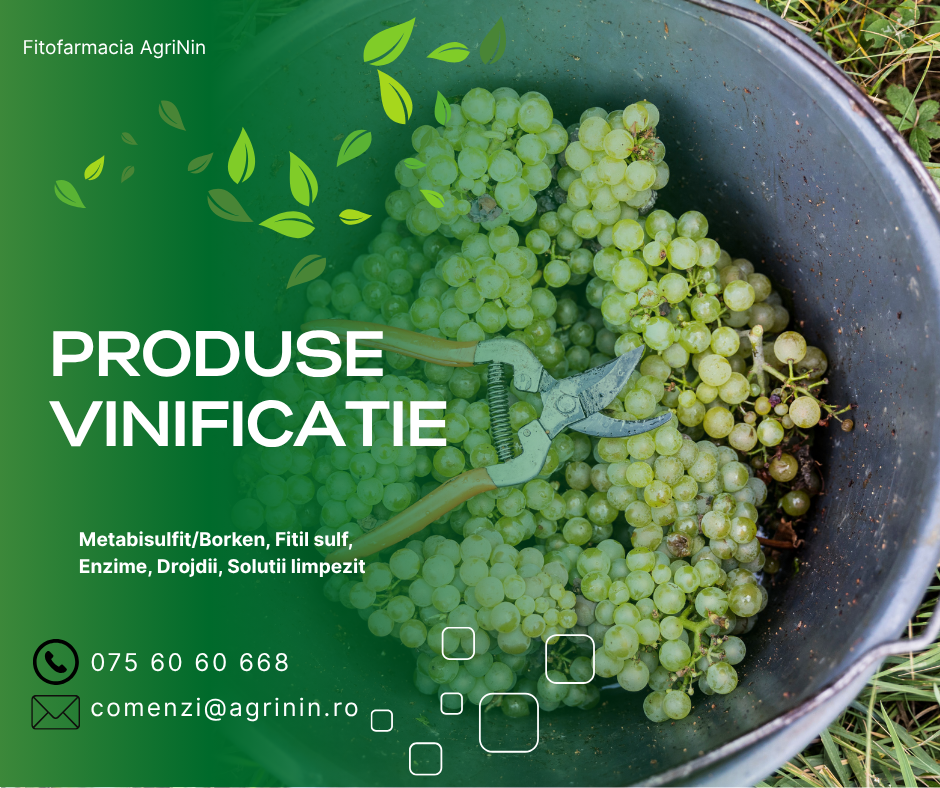 Produse pentru vinificatie: cum folosesti metabisulfit/borken, drojdii, enzime si antispumant – ghid complet