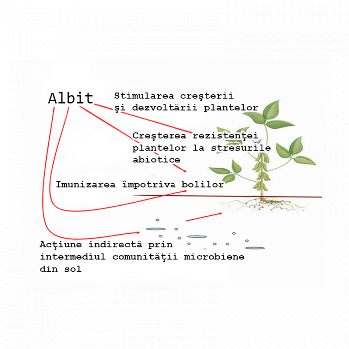 Albit biostimulator [2]