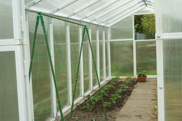 Arac de Gradina Metalic Plastificat Gros 2.0x180cm Bradas, Tija Suport Extra-Rezistenta Pomisori si Legume [3]