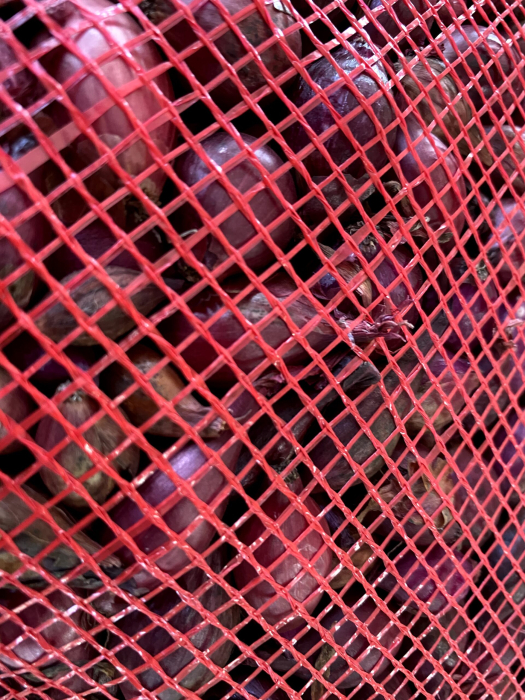 PRECOMANDA! Arpagic rosu Karmen 10 kg – ceapa rosie dulce și aromata, calibru 8/21 mm [2]