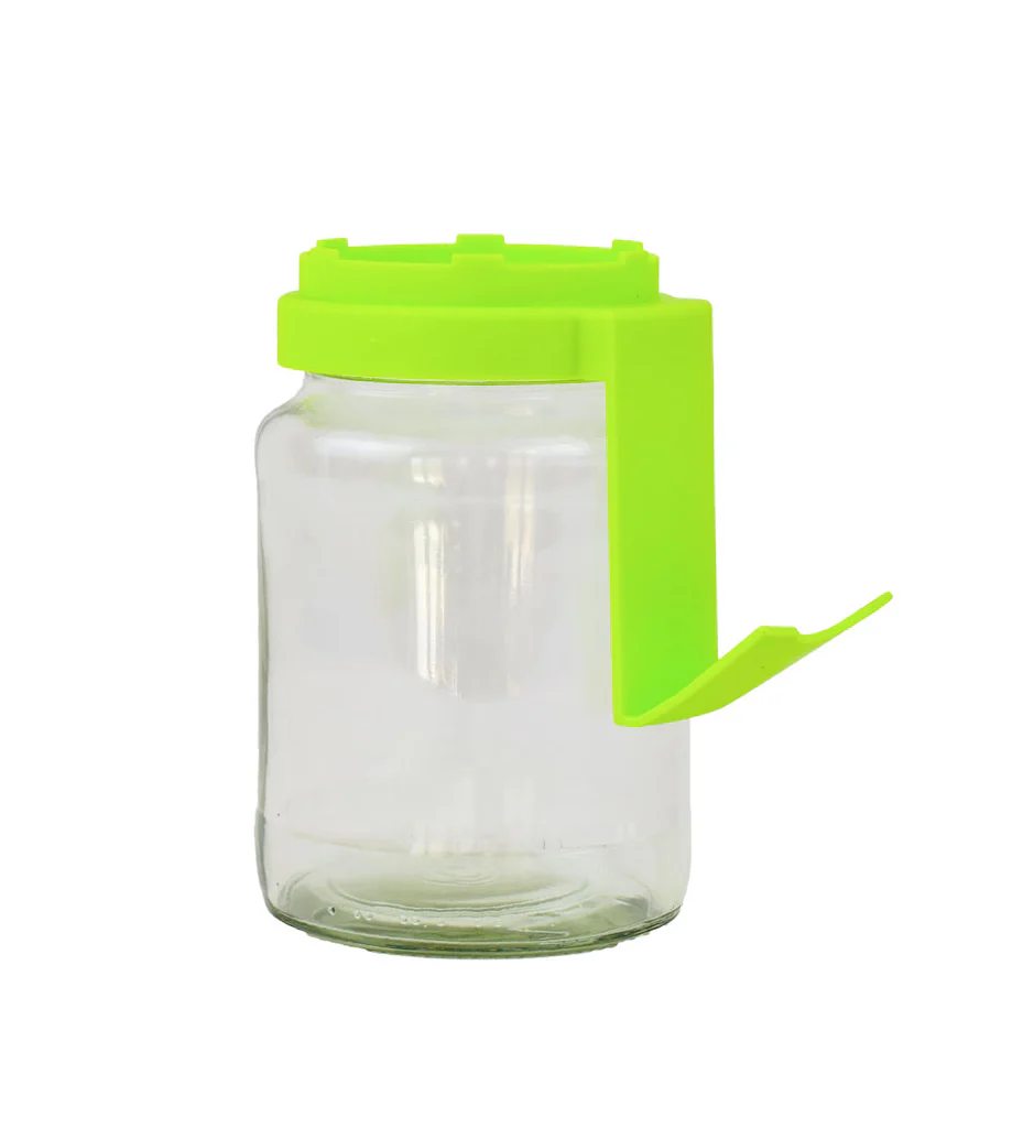 Borcan Sticla Germinare – Sistem Simplu pentru Muguri si Microgreens Acasa [2]