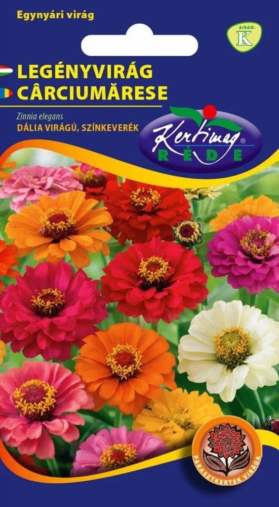 Carciumarese Colorate – Flori Compacte pentru Borduri si Ghivece [1]