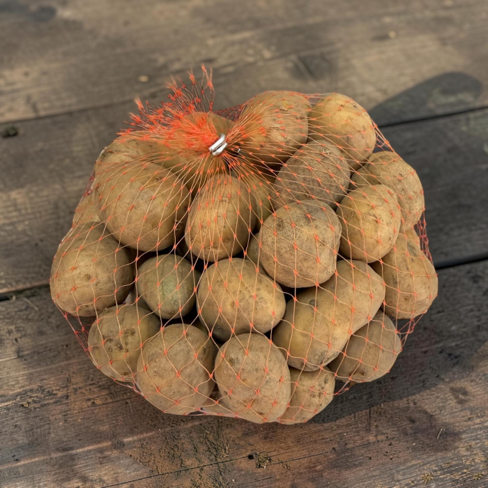 Cartofi de Samanta Agria Harghita, 50 Minituberculi, Calibru 25-33 mm, Ideal pentru Prajit [3]