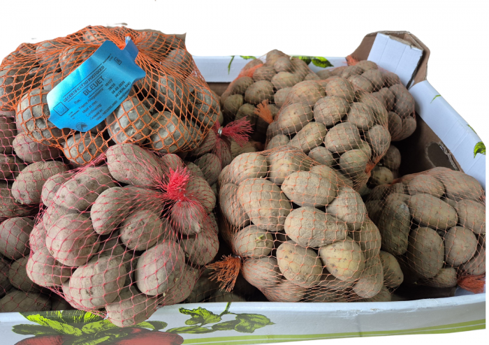Cartofi de sămânță Desiree – Harghita, sac 1 kg [2]
