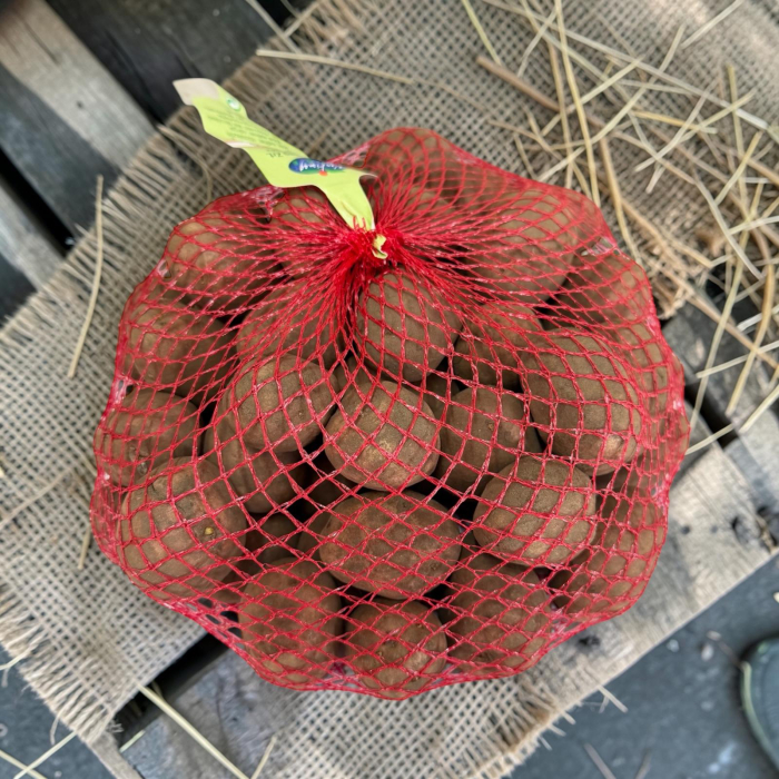 Cartofi de Samanta Desiree Ungaria, 50 Minituberculi, Calibru 28-33 mm, Coaja Rosie [4]