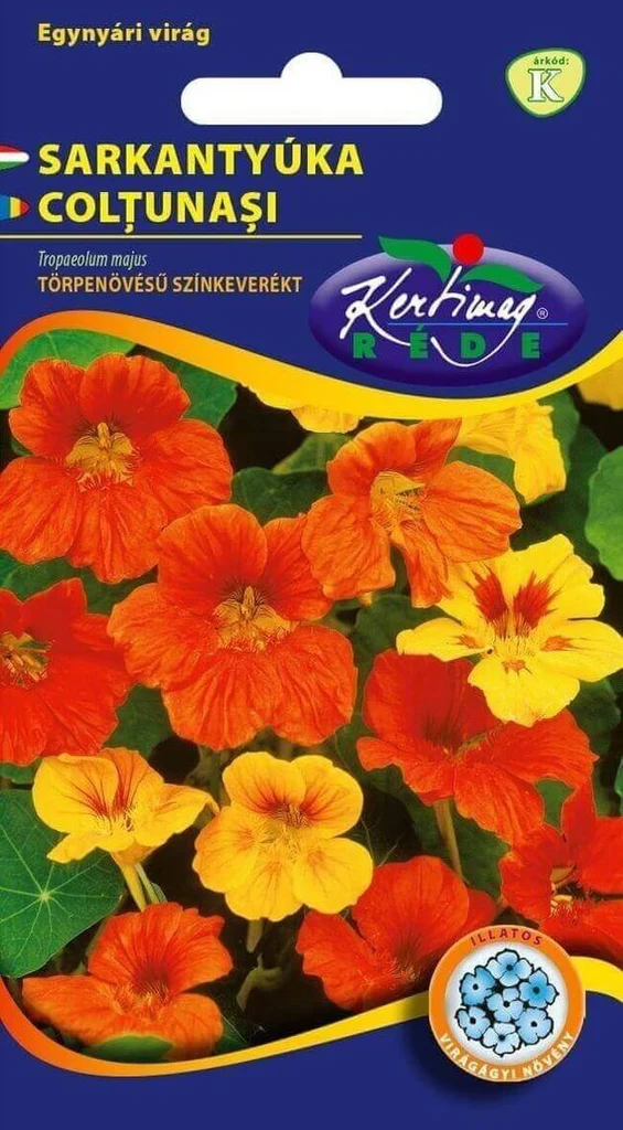 Coltunasi Pitici – Flori Colorate pentru Borduri si Ghivece [1]