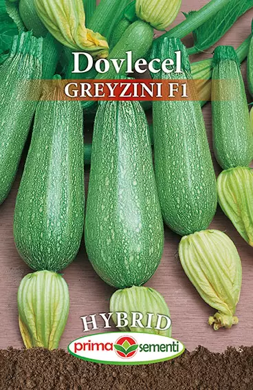 Dovlecel Greyzini F1 3,5 g – hibrid timpuriu, productiv si uniform [1]