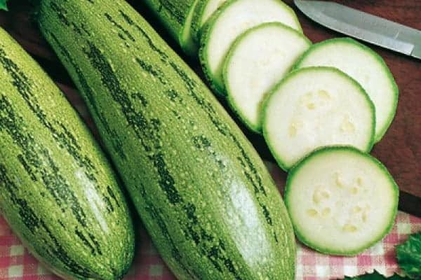 Dovlecel Greyzini F1 3,5 g – hibrid timpuriu, productiv si uniform [3]