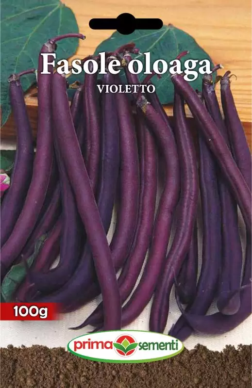 Fasole Oloaga Violetto 100g – Productie Mare, Pastaie Mov, Gust Intens [1]