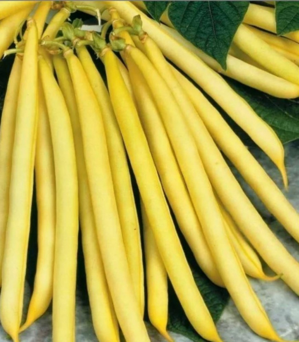 Fasole pitică - Berggold 50 g [2]