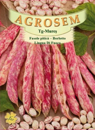 Seminte Fasole Pitica Borlotto Lingua di Fuoco 100g Agrosem - Aspect Marmorat si Gust Intens [2]