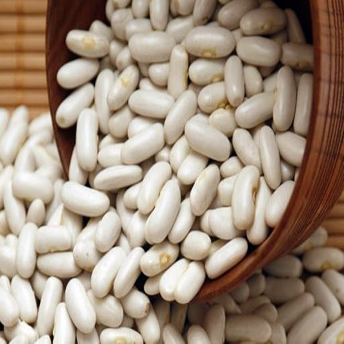 Seminte Fasole Pitica Cannellino 100g Agrosem - Fasole Alba de Calitate Superioara [2]