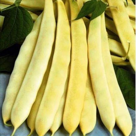 Fasole urcătoare Auria Bacăului 20G [2]