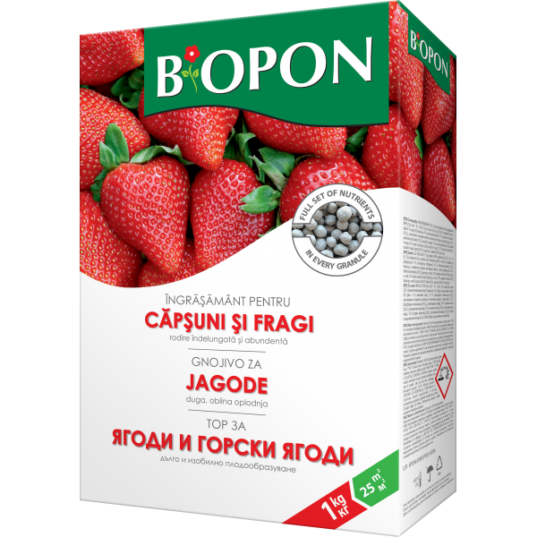 Ingrasamant Capsuni si Fragi 1 kg – crestere si fructificare [2]