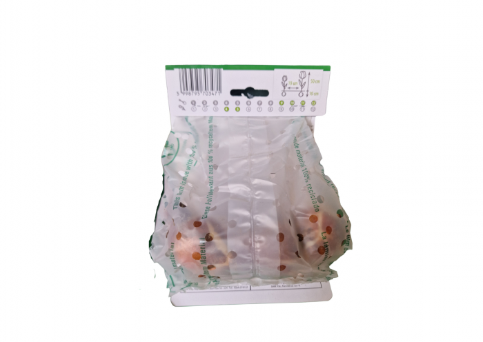 Lalele alb - negru / Tulipa duo Black&White [2]