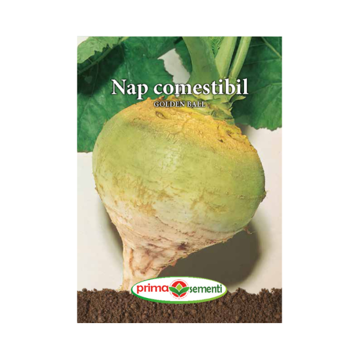 Nap Comestibil Golden Ball 8 g – soi timpuriu, dulce si aromat, bulbi rotunzi galbeni [3]