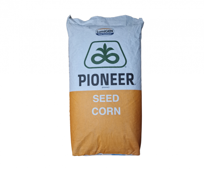 Porumb Pioneer P9241 (25000 boabe - FAO 330) [2]