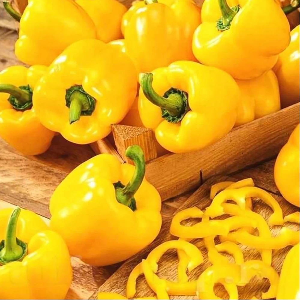 Seminte Ardei California Wonder Galben 1g Kertimag - Soi Clasic Blocky Dulce [3]