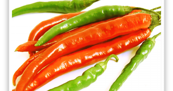 Seminte Ardei Chili Cayenne 20 sem - Kertimag - Ardei Iute si Productiv [3]