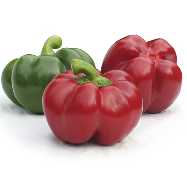 Seminte Ardei Greygo 0,5g Kertimag - Ardei tip Gogosar pentru Conserva [2]