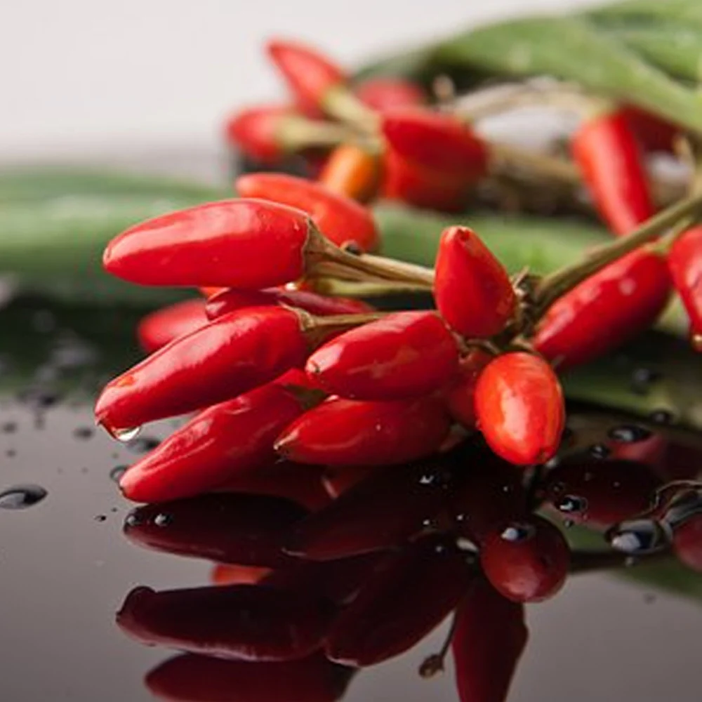 Seminte Ardei Iute Chili Etna 20 sem Kertimag - Ardei Decorativ si Foarte Iute [2]