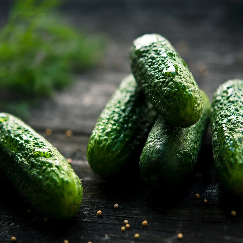 Seminte Castraveti Delicatess 2g Kertimag - Soi Productiv cu Gust Fin si Dulceag [3]