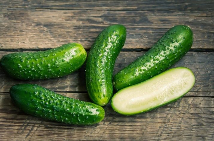 Seminte Castraveti Libelle F1 2g Agrosem - Hibrid Cornison Productiv [2]