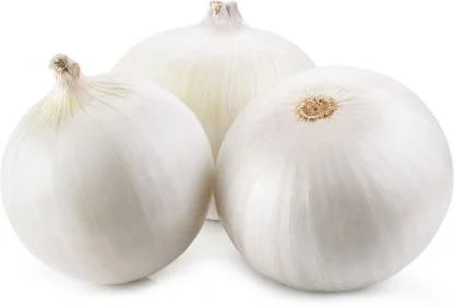 Seminte Ceapa White Lisbon 2g Kertimag - Ceapa Verde pentru Recolta Timpurie [2]