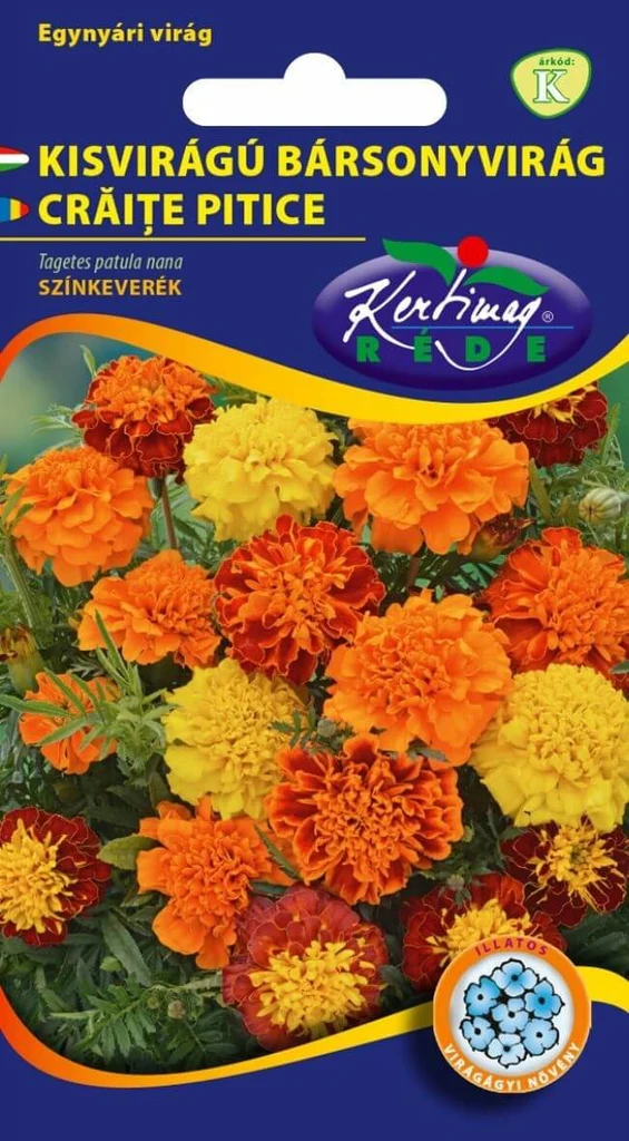 Seminte Craite cu Flori Mici (Tagetes tenuifolia) Amestec, 1 g, Kertimag [1]