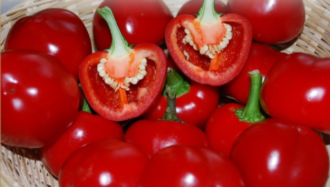 Seminte de Ardei Cireasa uriasa [2]